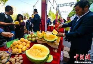 吃瓜最新事件爆料荆门,吃瓜群众揭秘惊天大事件! 第3张 吃瓜最新事件爆料荆门,吃瓜群众揭秘惊天大事件! 第3张