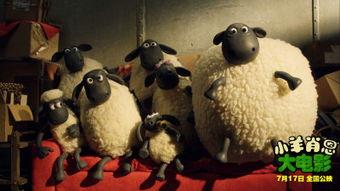 小羊爆料视频在线观看全集  第2张